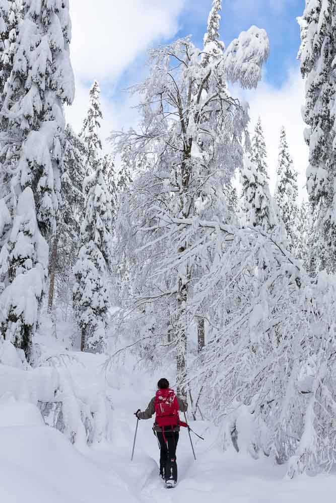 Randonnées hivernales Jura et Vercors