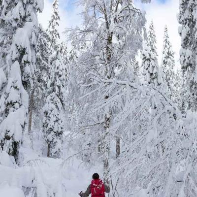Randonnées hivernales Jura et Vercors
