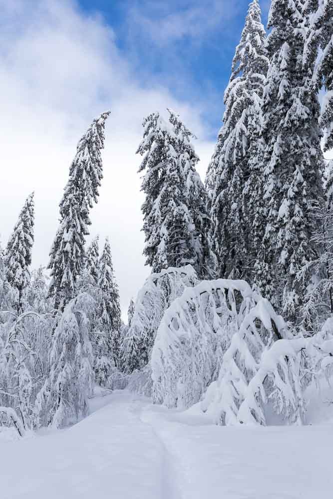 Randonnées hivernales Jura et Vercors