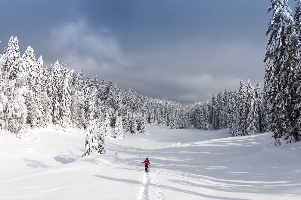 Randonnées hivernales Jura et Vercors