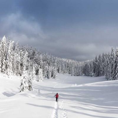 Randonnées hivernales Jura et Vercors