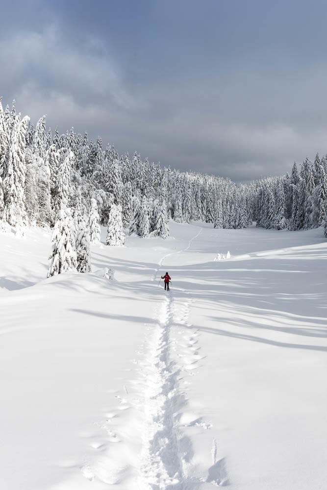 Randonnées hivernales Jura et Vercors