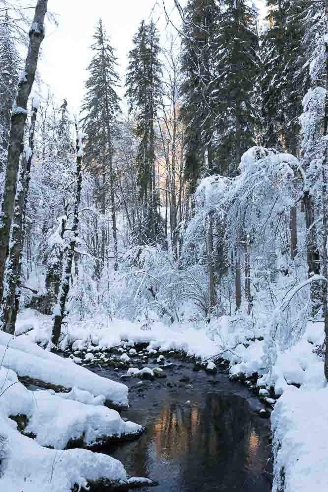 Randonnées hivernales Jura et Vercors