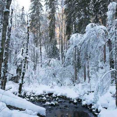Randonnées hivernales Jura et Vercors
