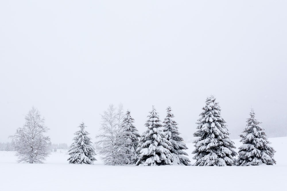 Randonnées hivernales Jura et Vercors