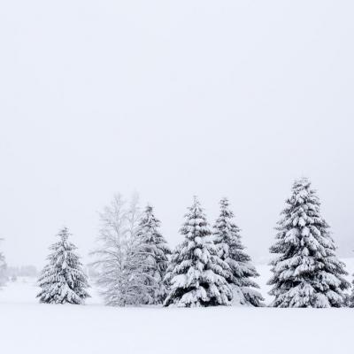 Portfolio Randonnées hivernales Jura et Vercors