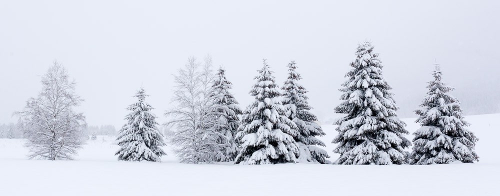 Randonnées hivernales Jura et Vercors