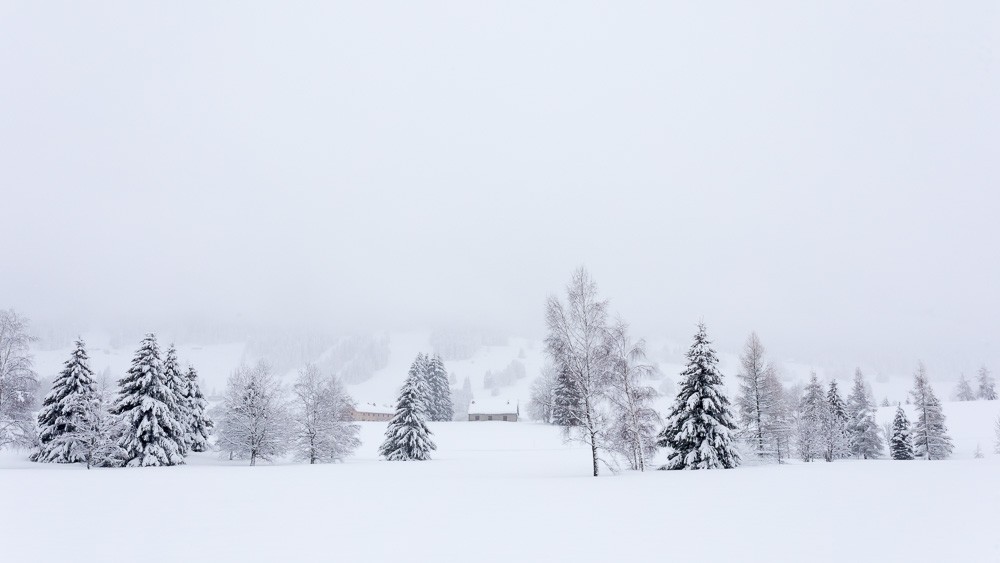 Randonnées hivernales Jura et Vercors