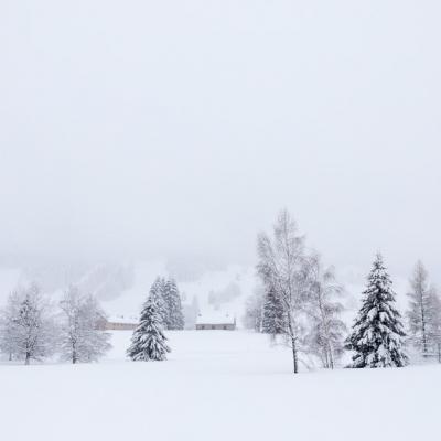 Randonnées hivernales Jura et Vercors