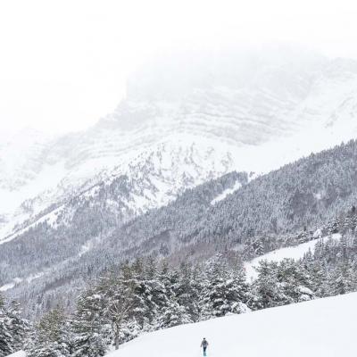 Randonnées hivernales Jura et Vercors