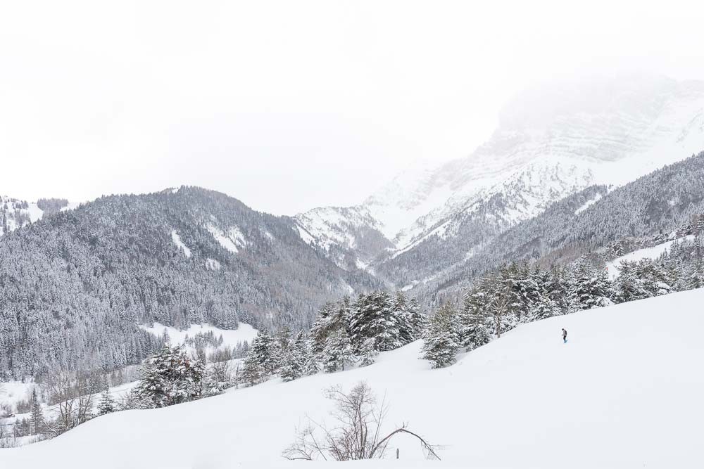 Randonnées hivernales Jura et Vercors