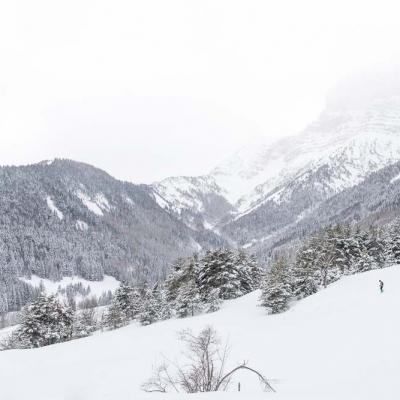 Randonnées hivernales Jura et Vercors