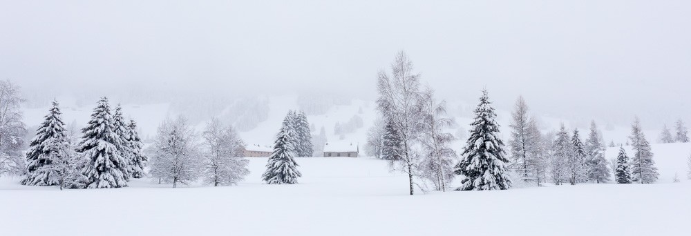 Randonnées hivernales Jura et Vercors