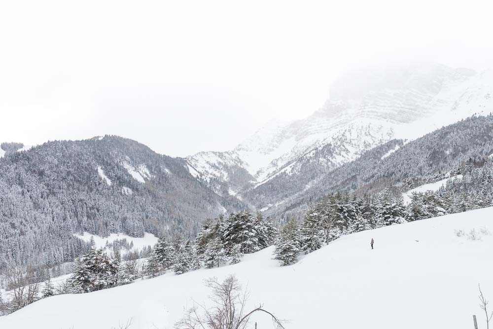 Randonnées hivernales Jura et Vercors