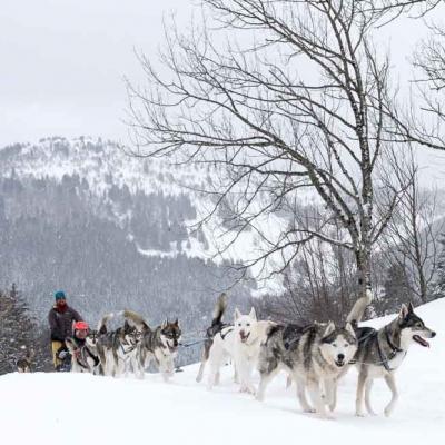 Randonnées hivernales Jura et Vercors