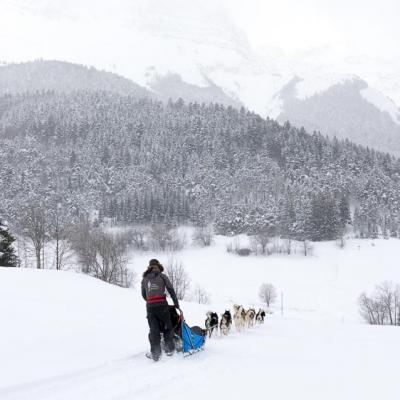 Randonnées hivernales Jura et Vercors