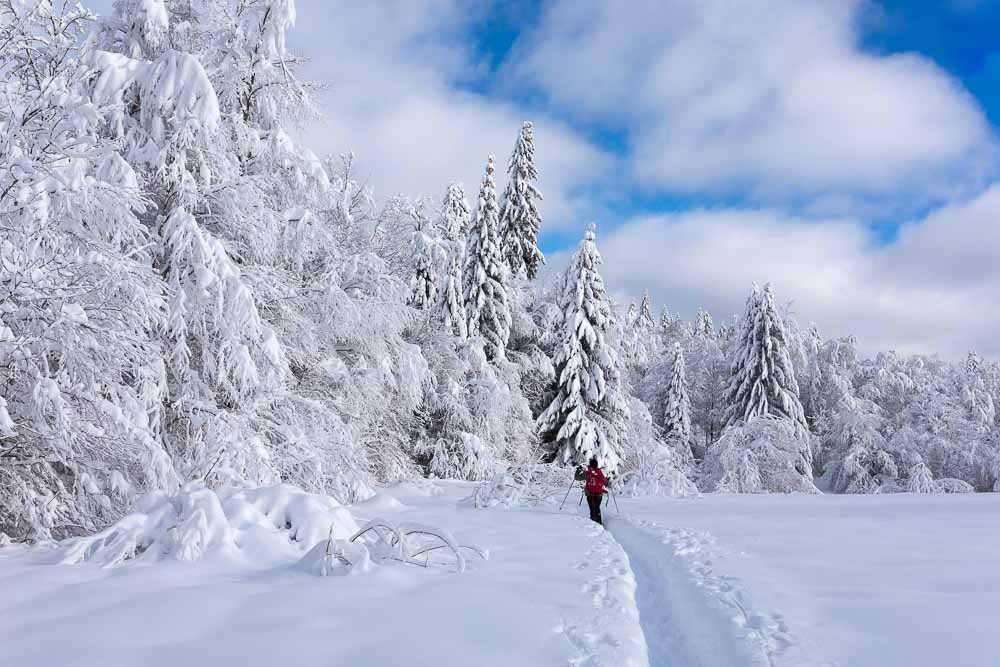 Randonnées hivernales Jura et Vercors