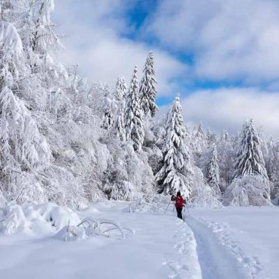 Randonnées hivernales Jura et Vercors