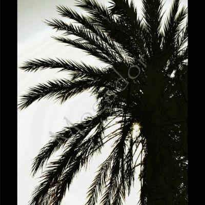 Mogador  