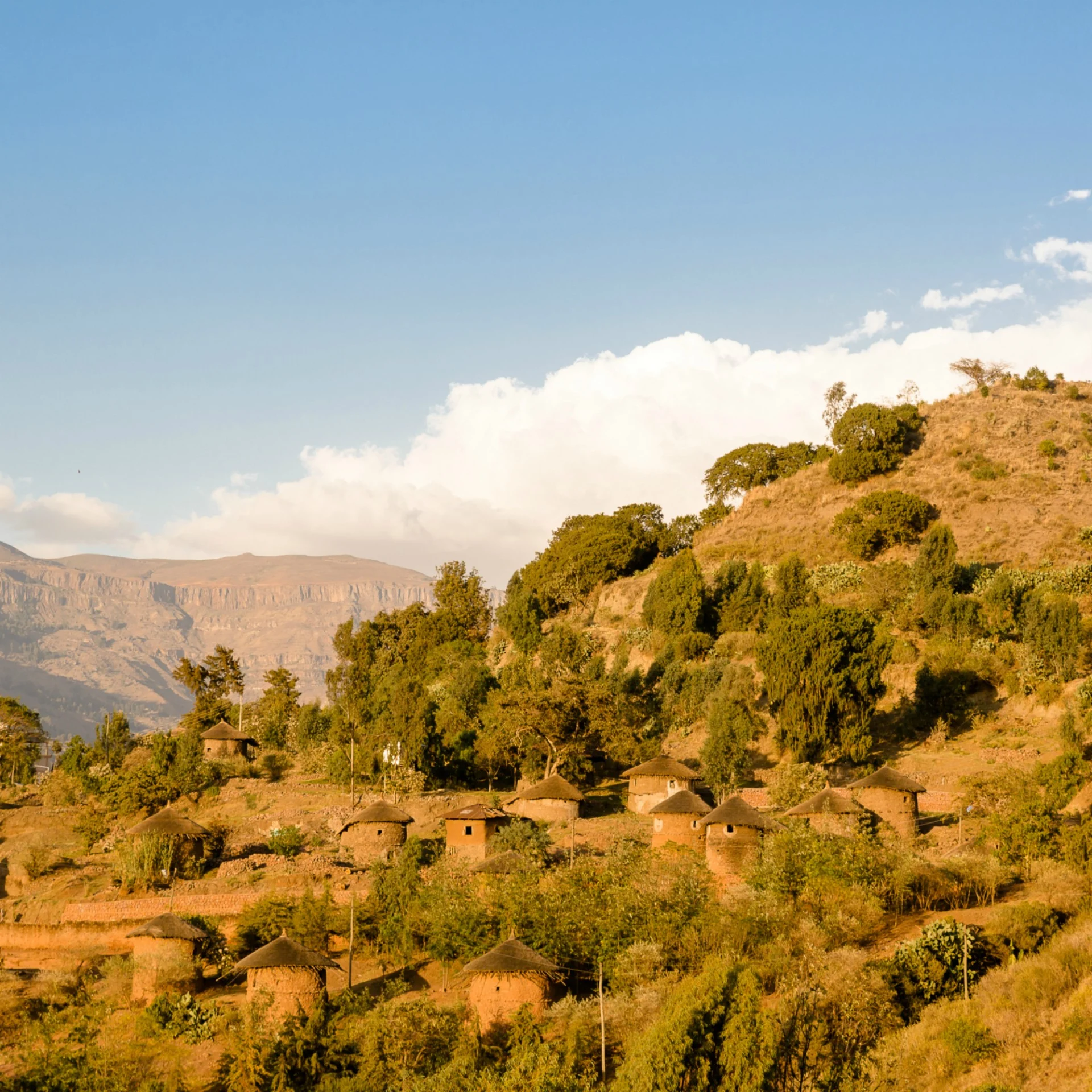 Abyssinie - Ethiopie 