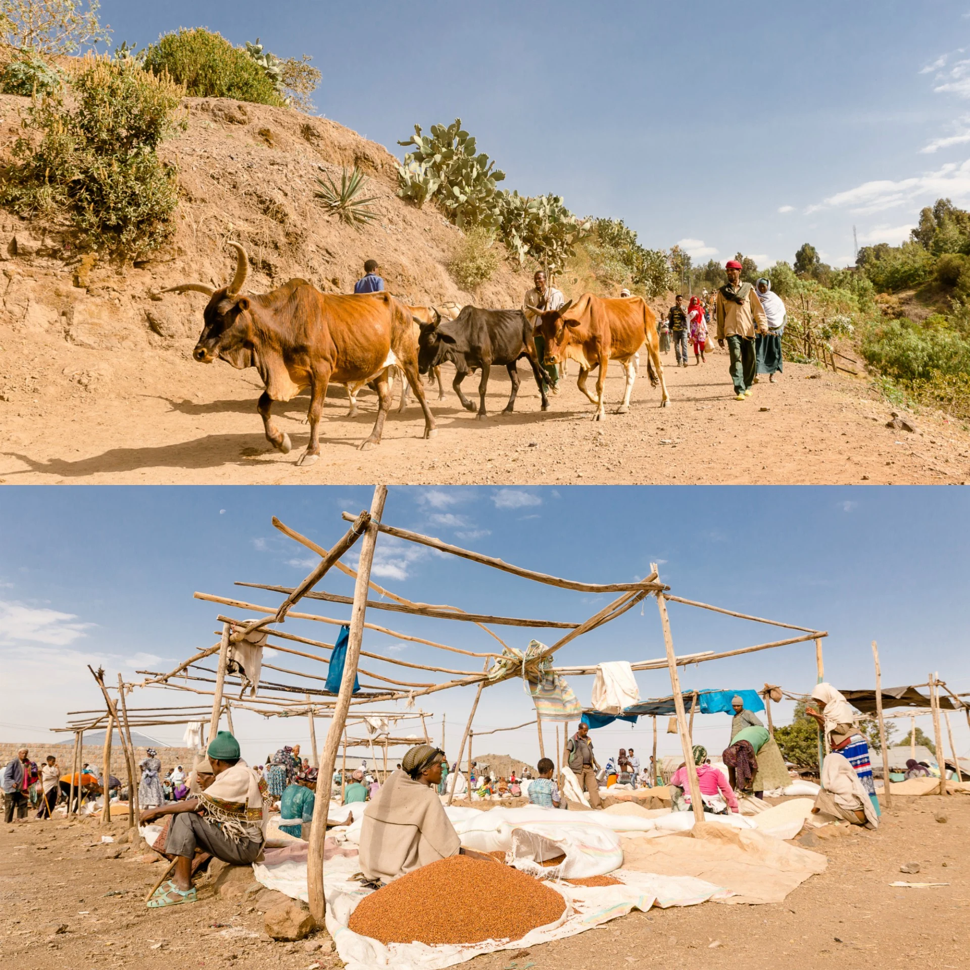 Abyssinie - Ethiopie 