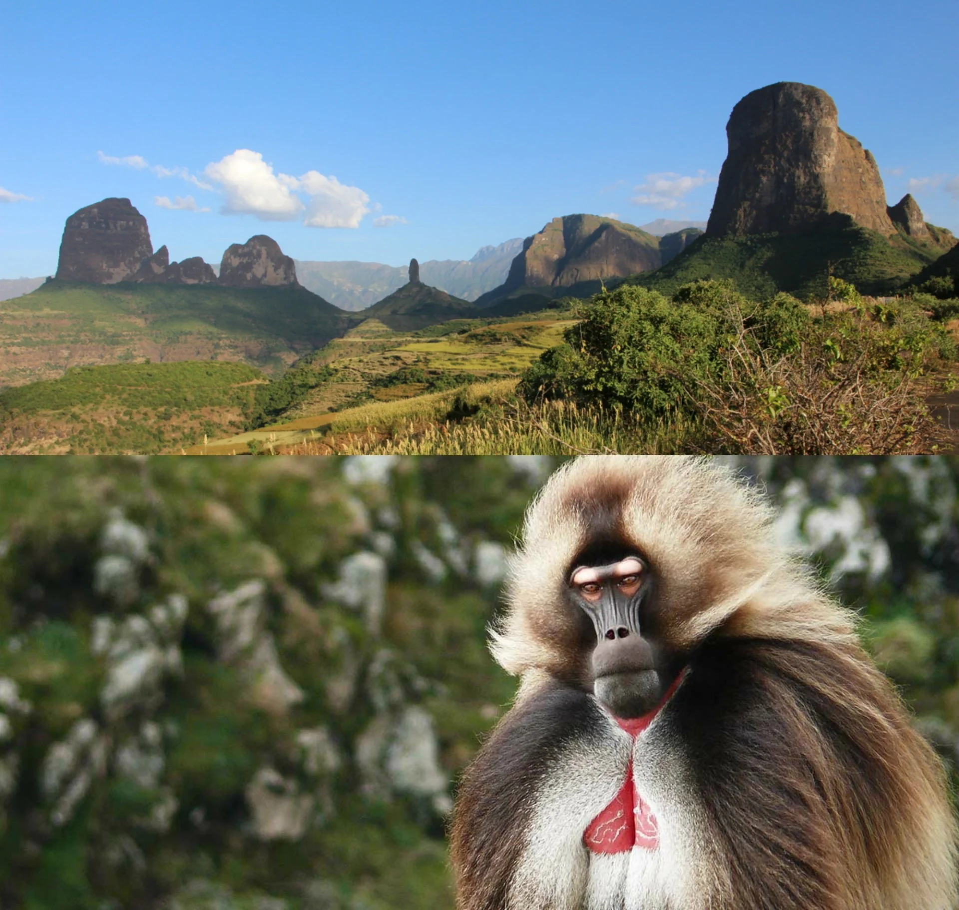 Abyssinie - Ethiopie 