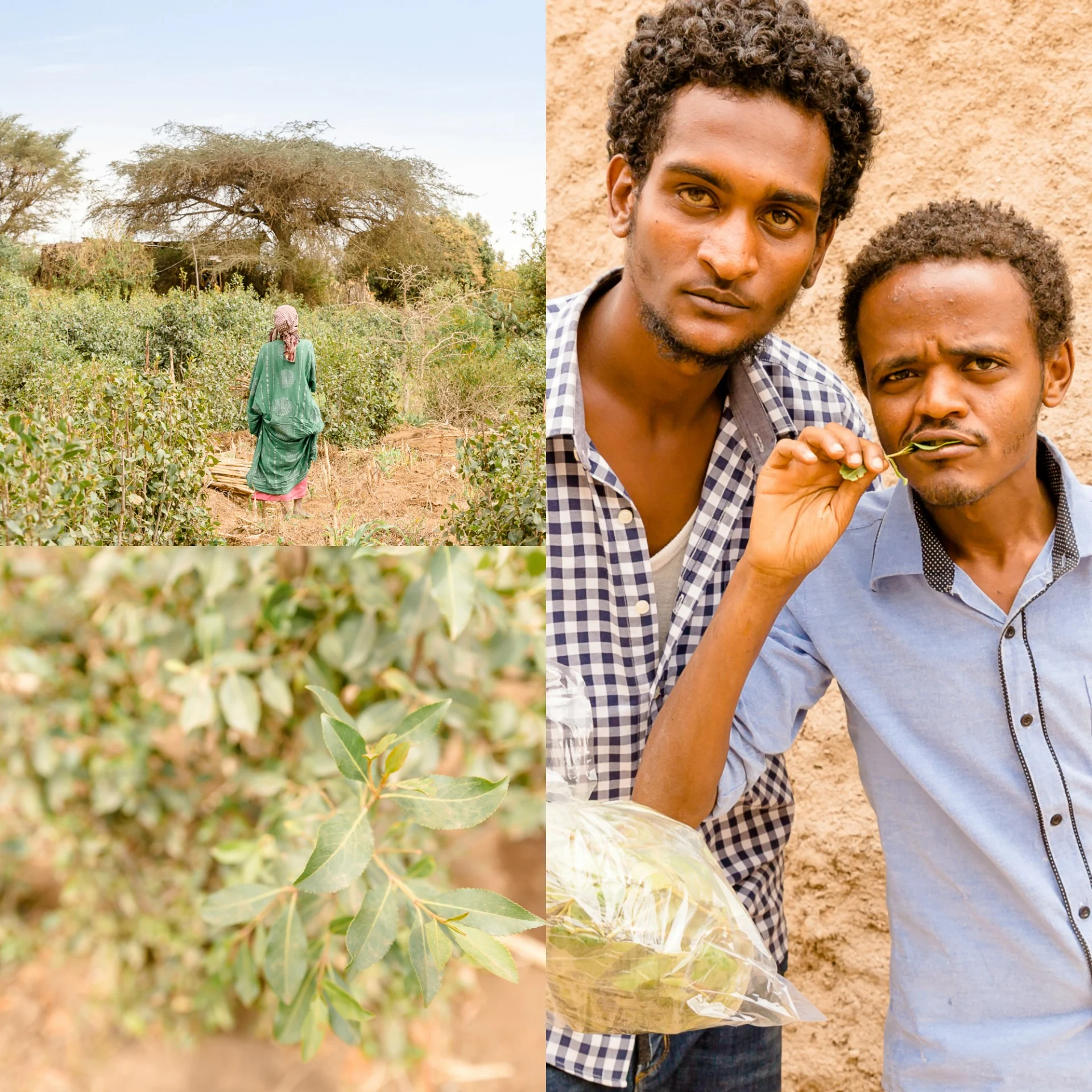 Abyssinie - Ethiopie 