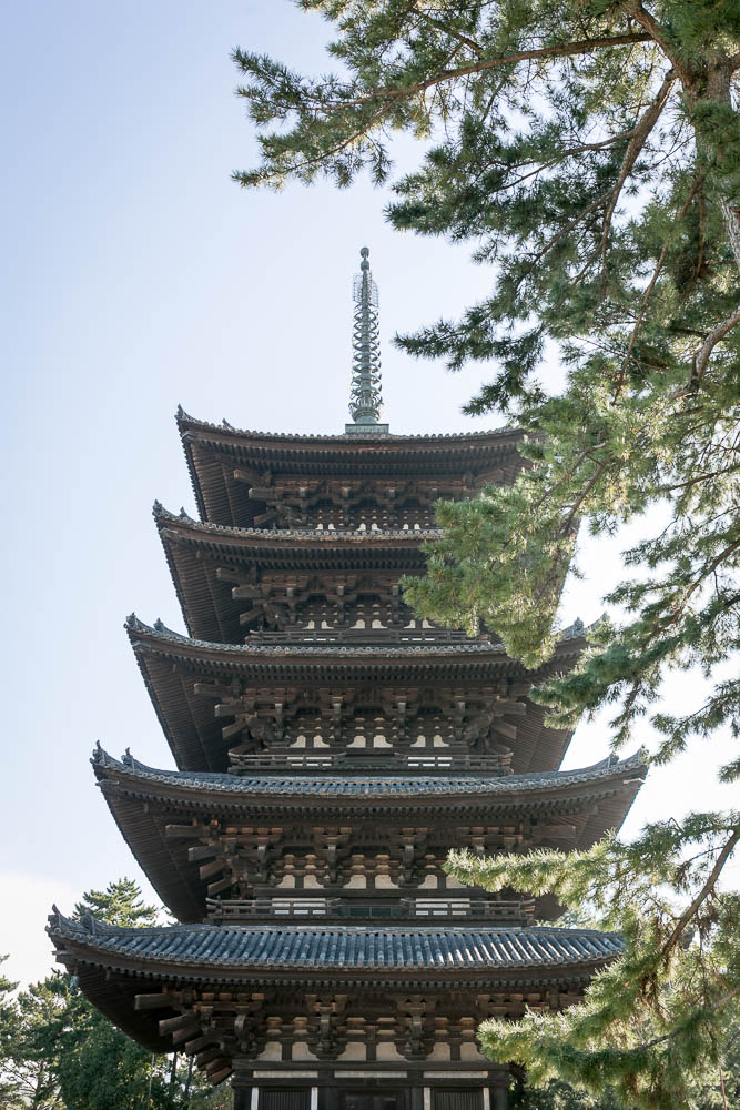 Un automne au Japon (1)