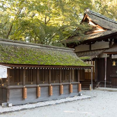 Un automne au Japon (119)