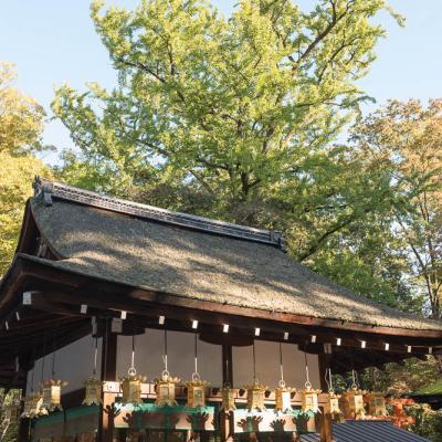 Un automne au Japon (120)