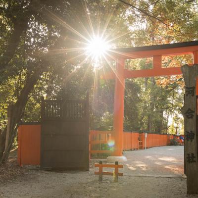 Un automne au Japon (126)