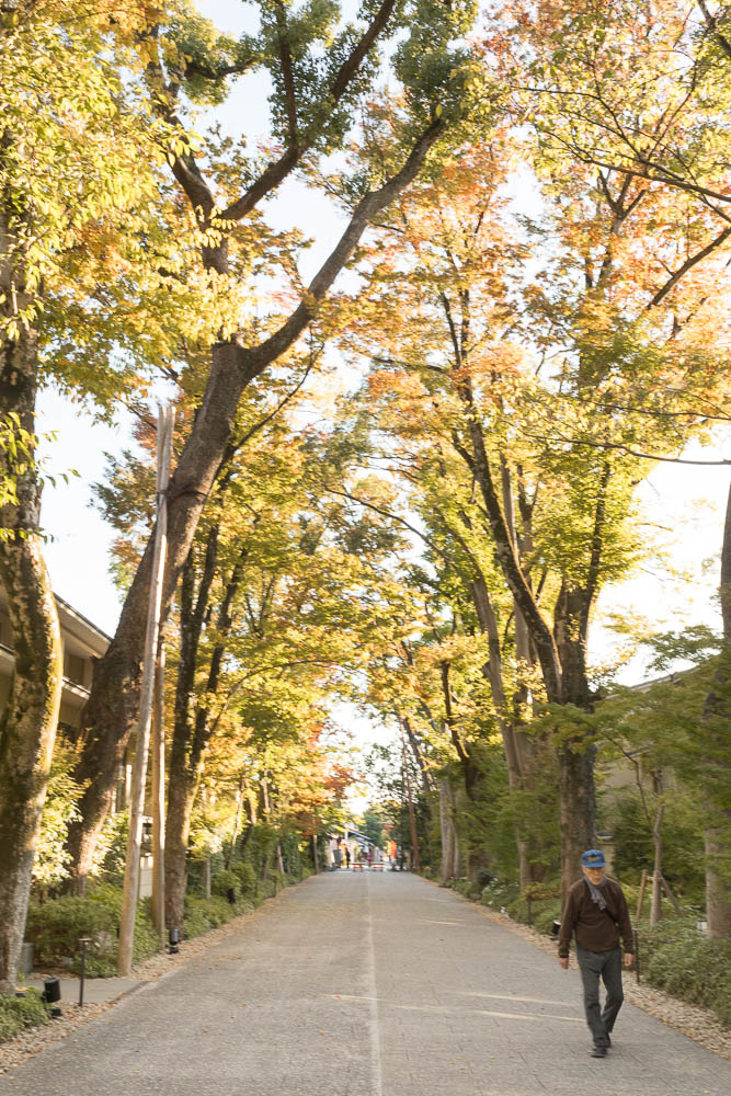 Un automne au Japon (128)