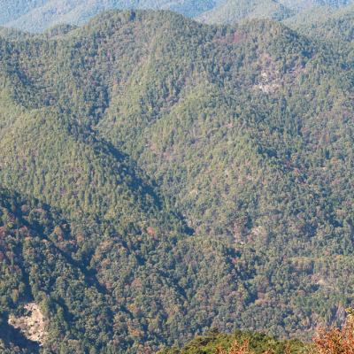 Un automne au Japon (133)