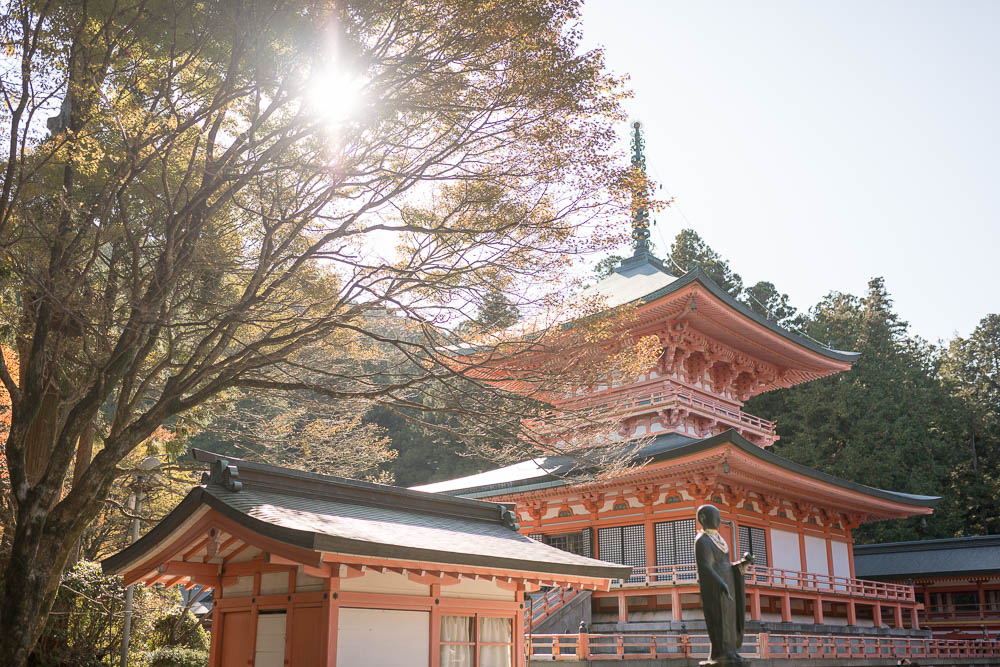 Un automne au Japon (138)