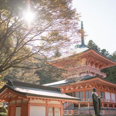 Un automne au Japon (138)