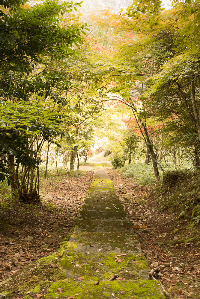 Un automne au Japon (14)