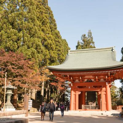 Un automne au Japon (141)