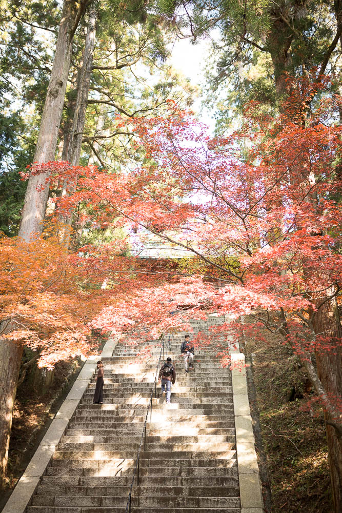 Un automne au Japon (142)