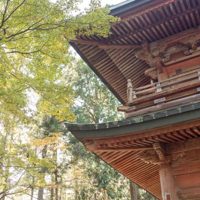 Un automne au Japon (146)