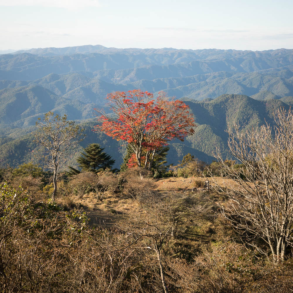 Un automne au Japon (151)