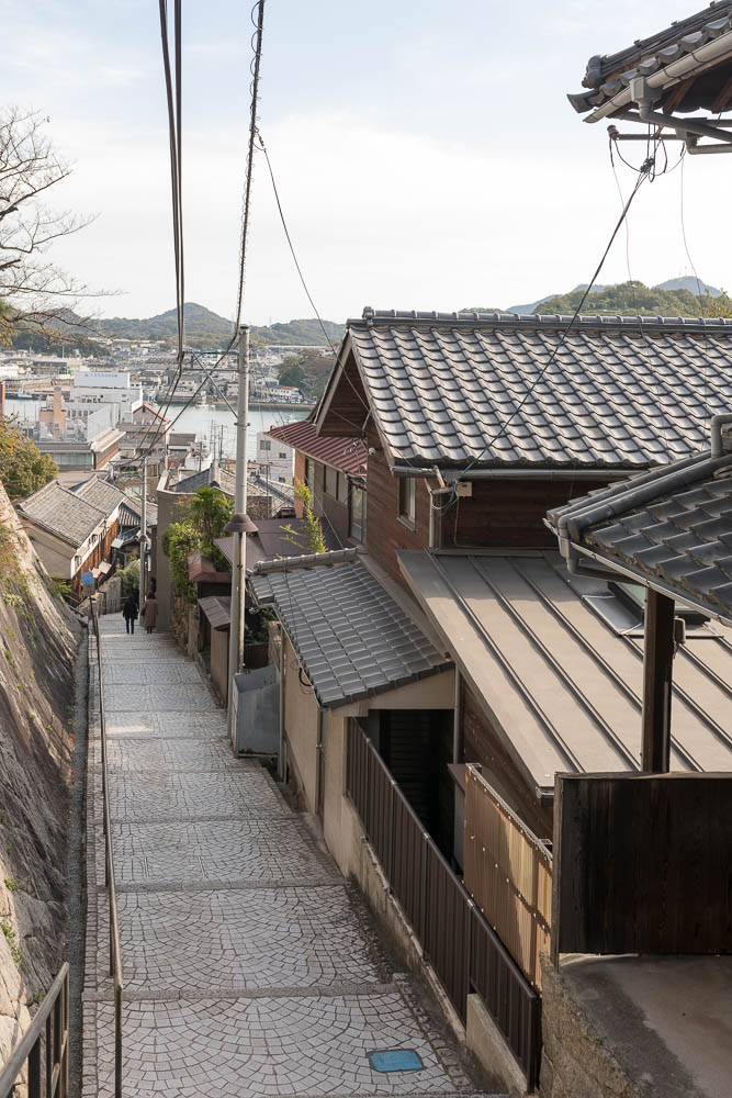 Un automne au Japon (155)