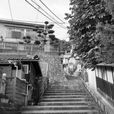 Un automne au Japon (156)