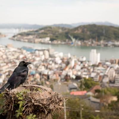 Un automne au Japon (159)
