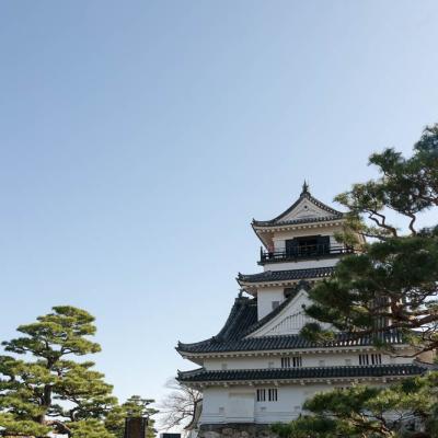 Un automne au Japon (206)