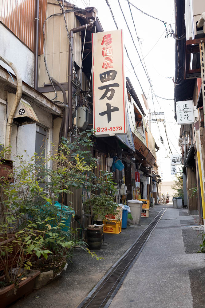 Un automne au Japon (215)