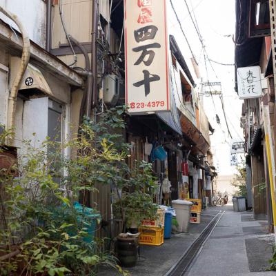 Un automne au Japon (215)