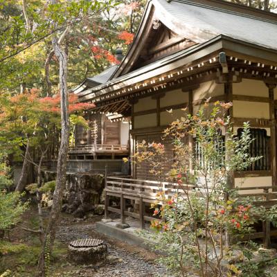 Un automne au Japon (220)