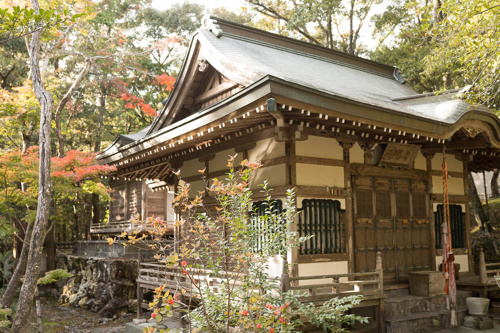 Un automne au Japon (221)