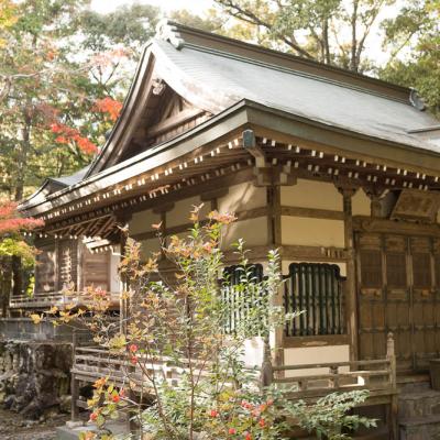 Un automne au Japon (221)