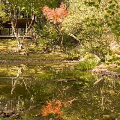 Un automne au Japon (222)